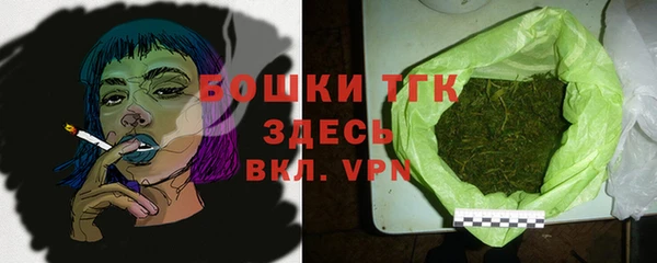дживик Дмитриев