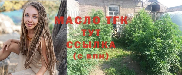 крисы Дмитров