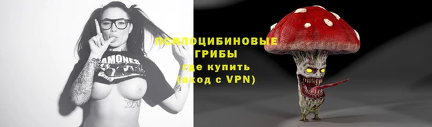дживик Дмитриев