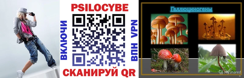 Купить закладки  Елизаветинская  Галлюциногенные грибы MAGIC MUSHROOMS 